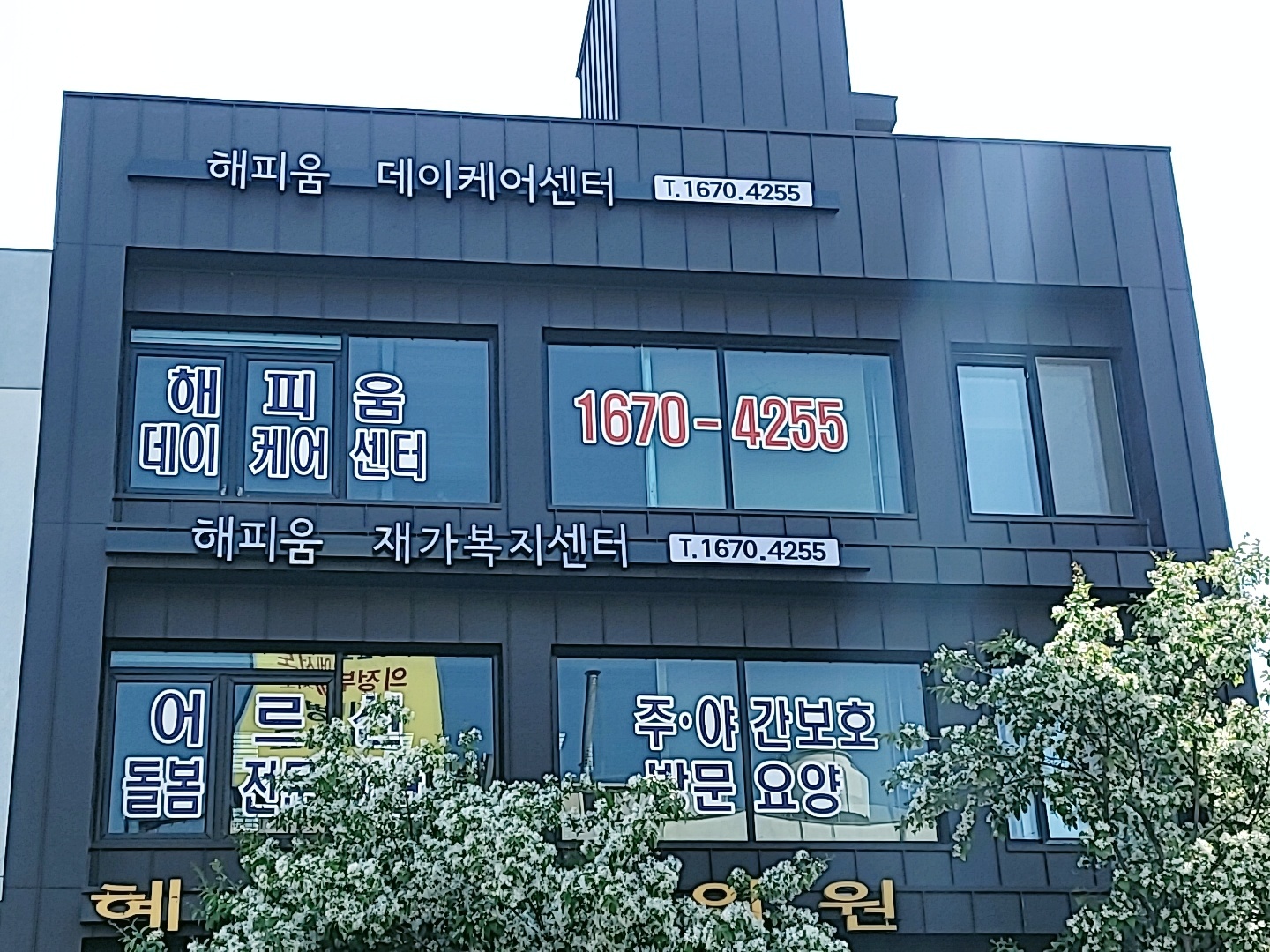 센터 이미지
