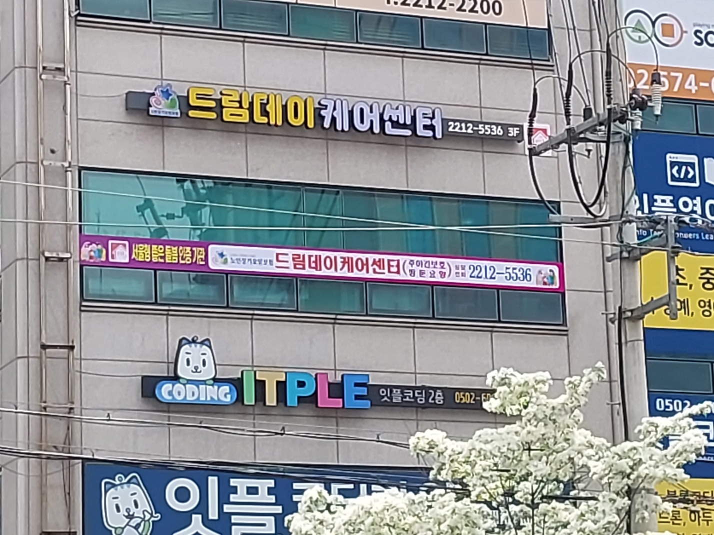 센터 이미지
