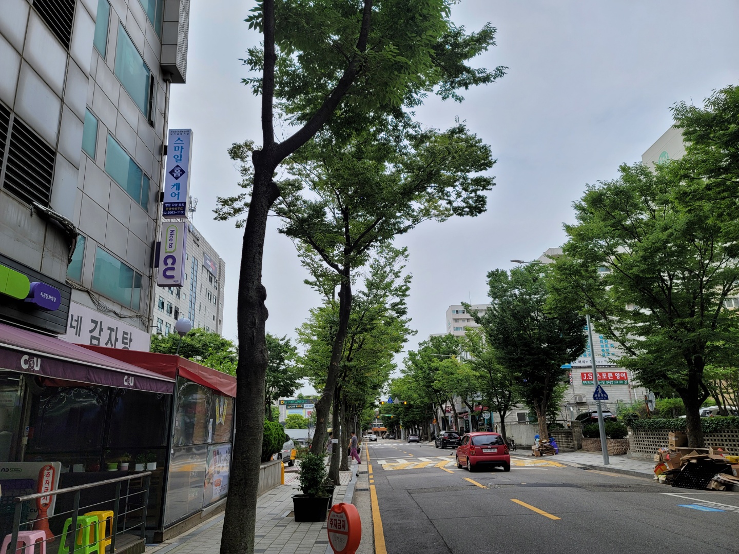 센터 이미지