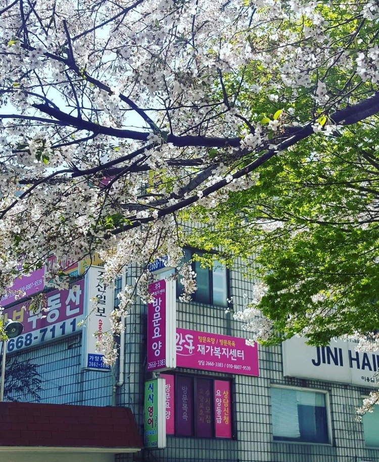 센터 이미지