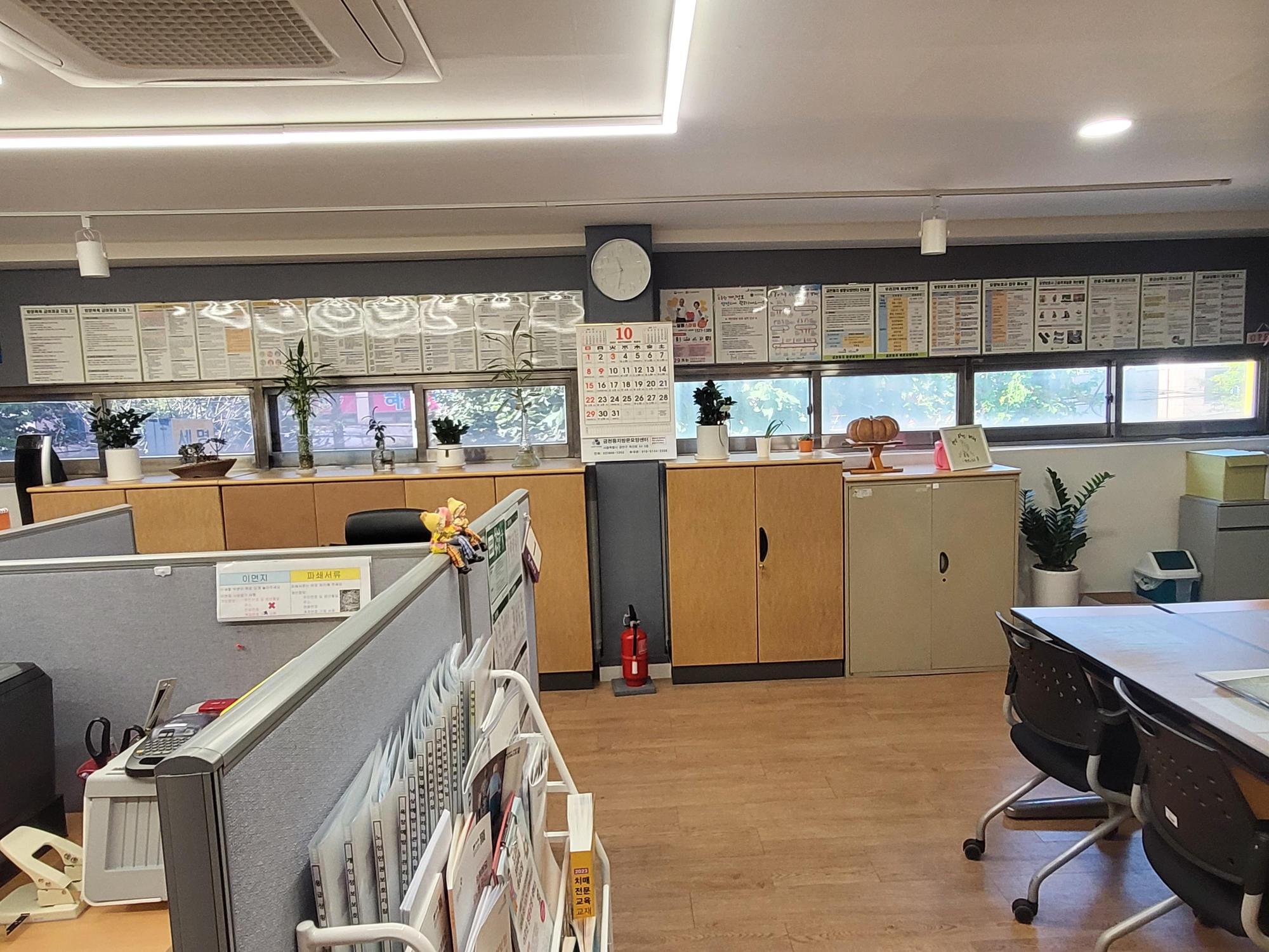 센터 이미지