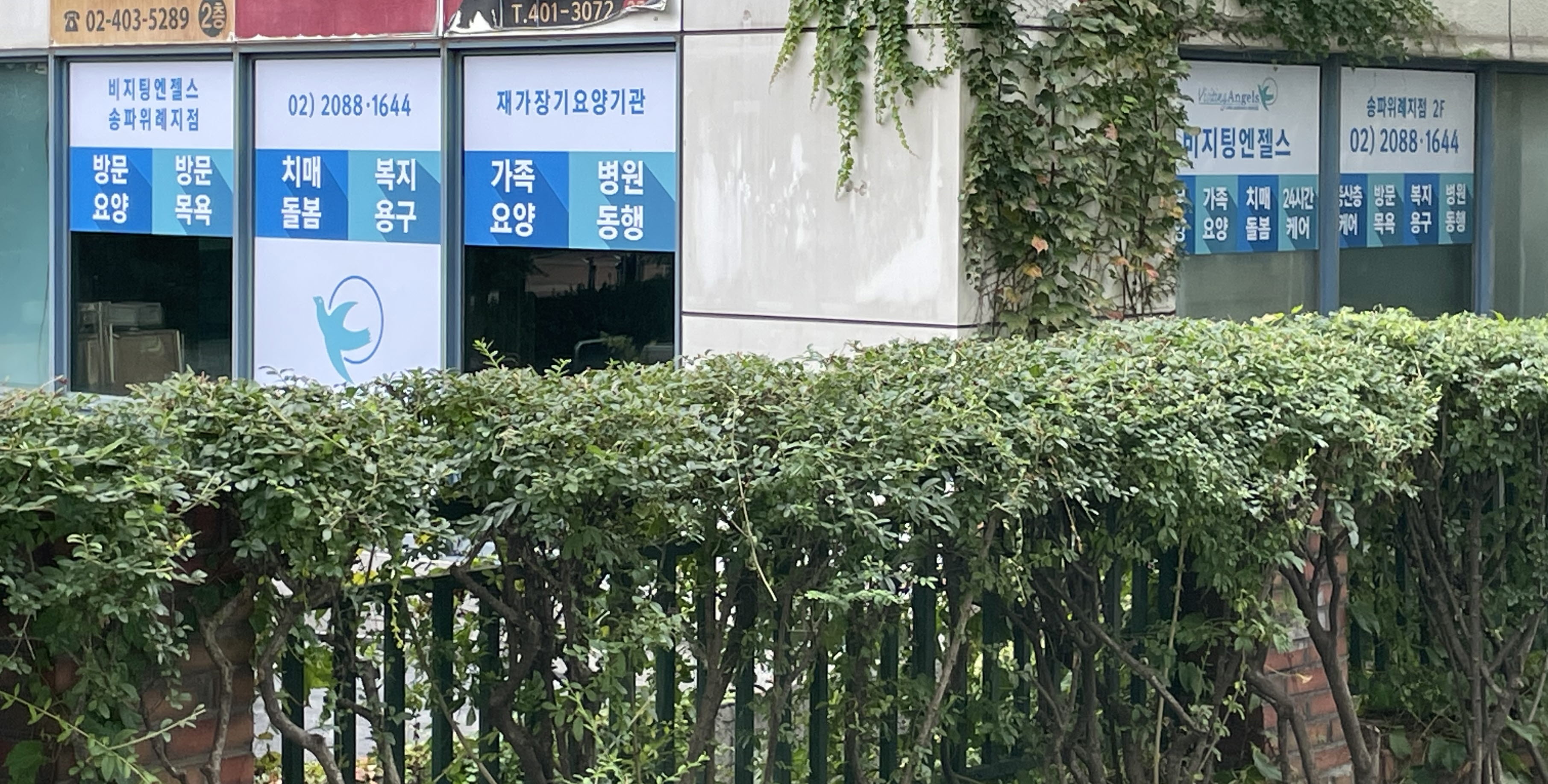 센터 이미지