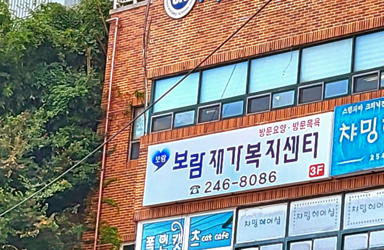 센터 이미지