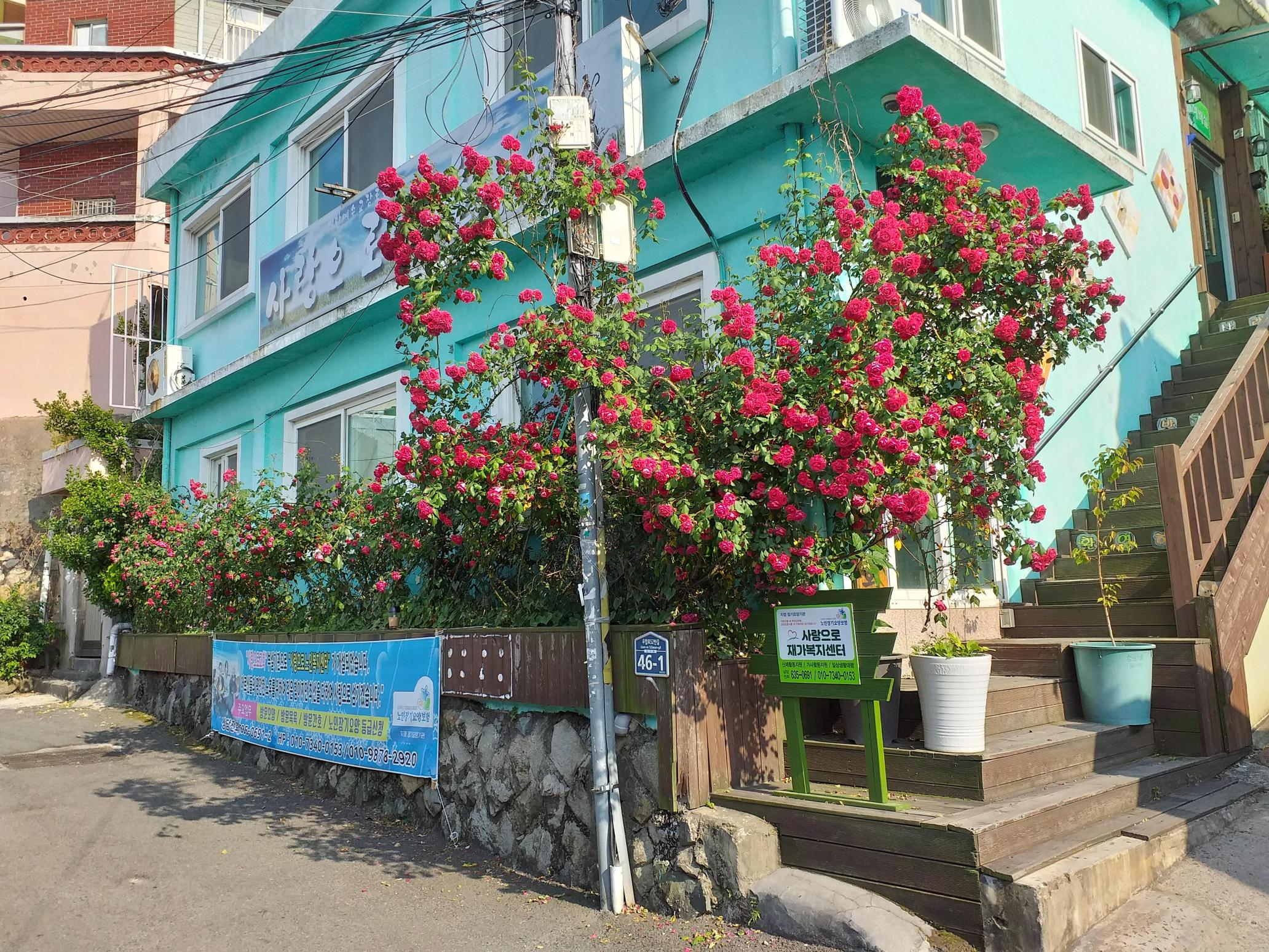 센터 이미지
