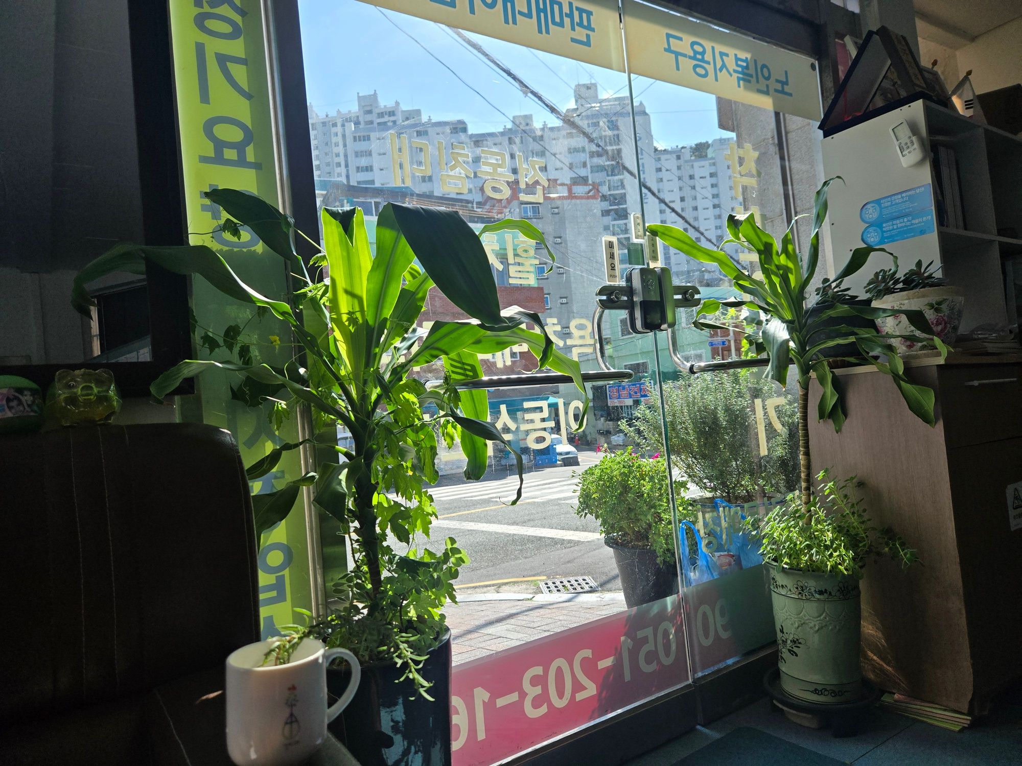 센터 이미지