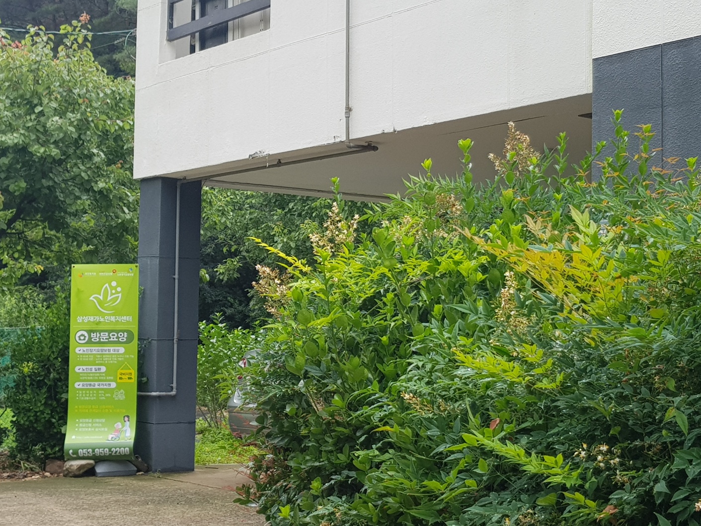 센터 이미지