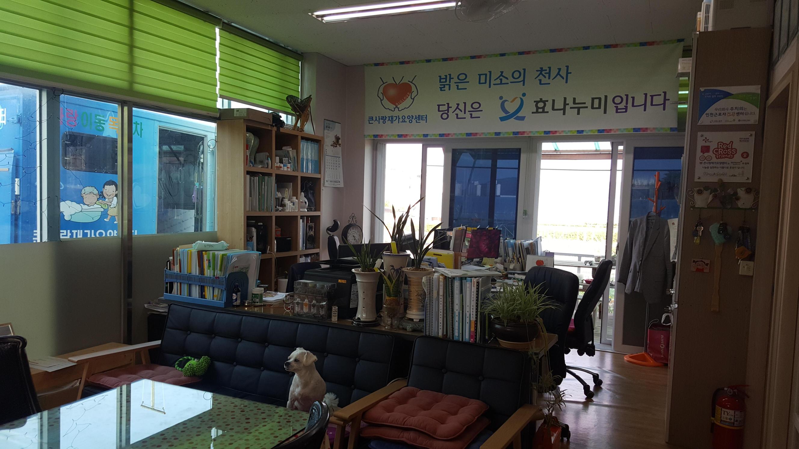 센터 이미지