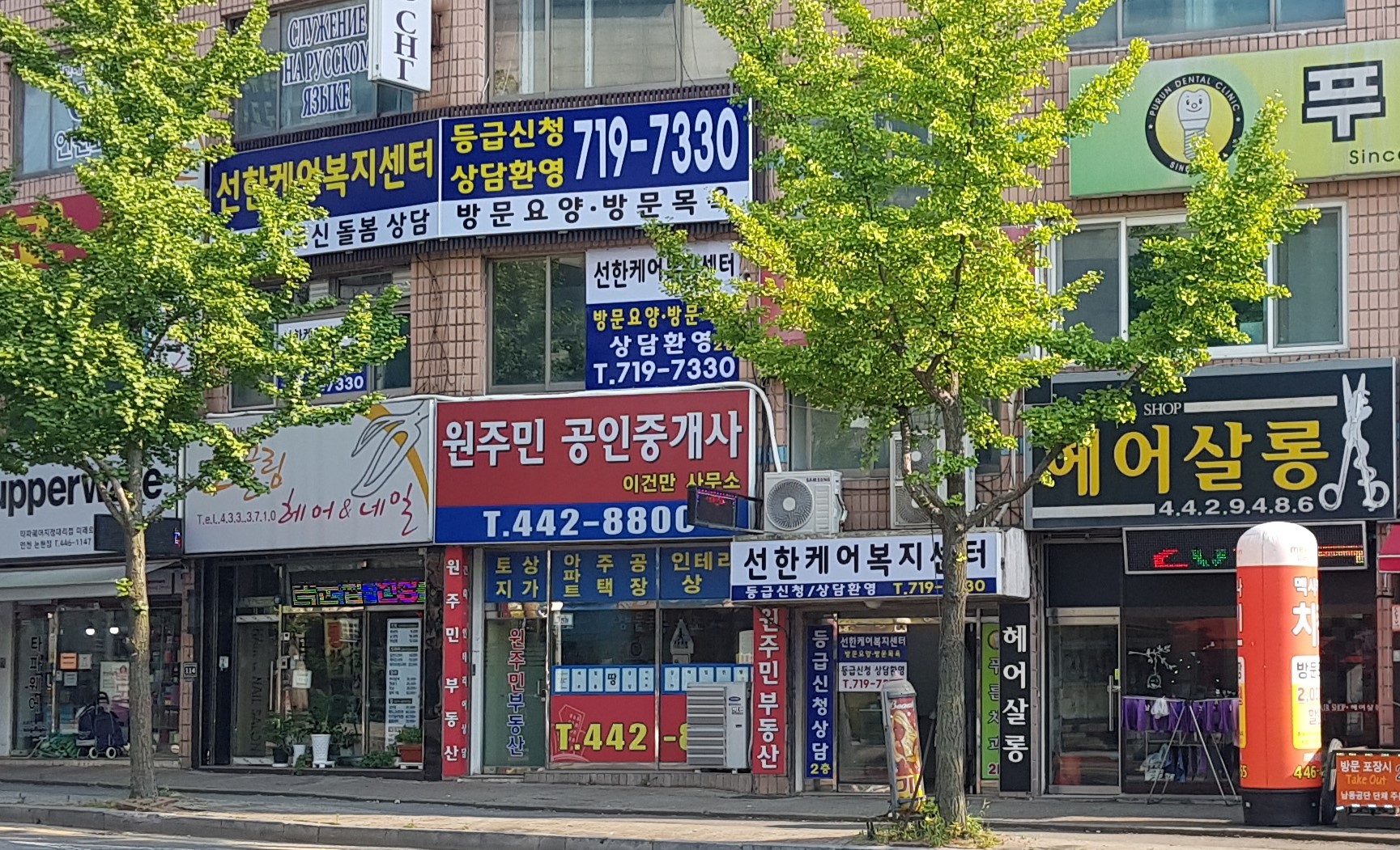 센터 이미지