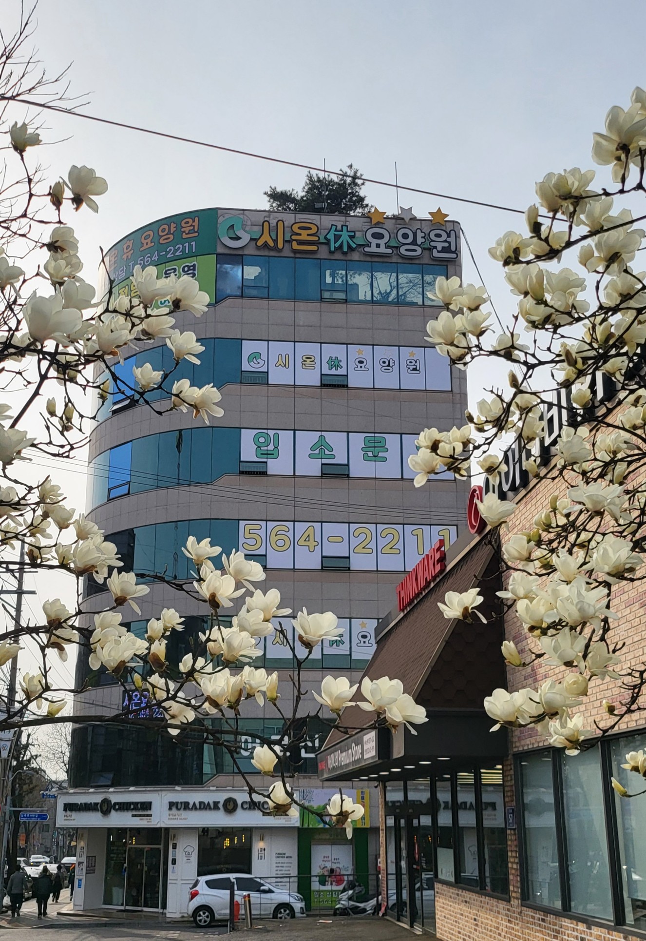 센터 이미지