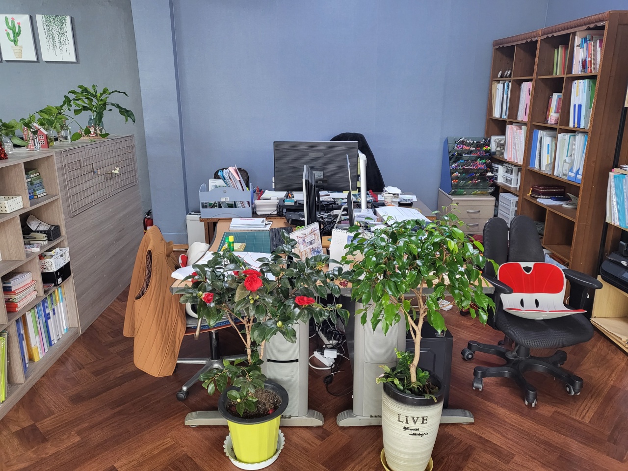 센터 이미지