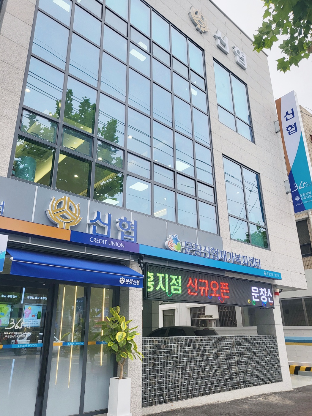 센터 이미지