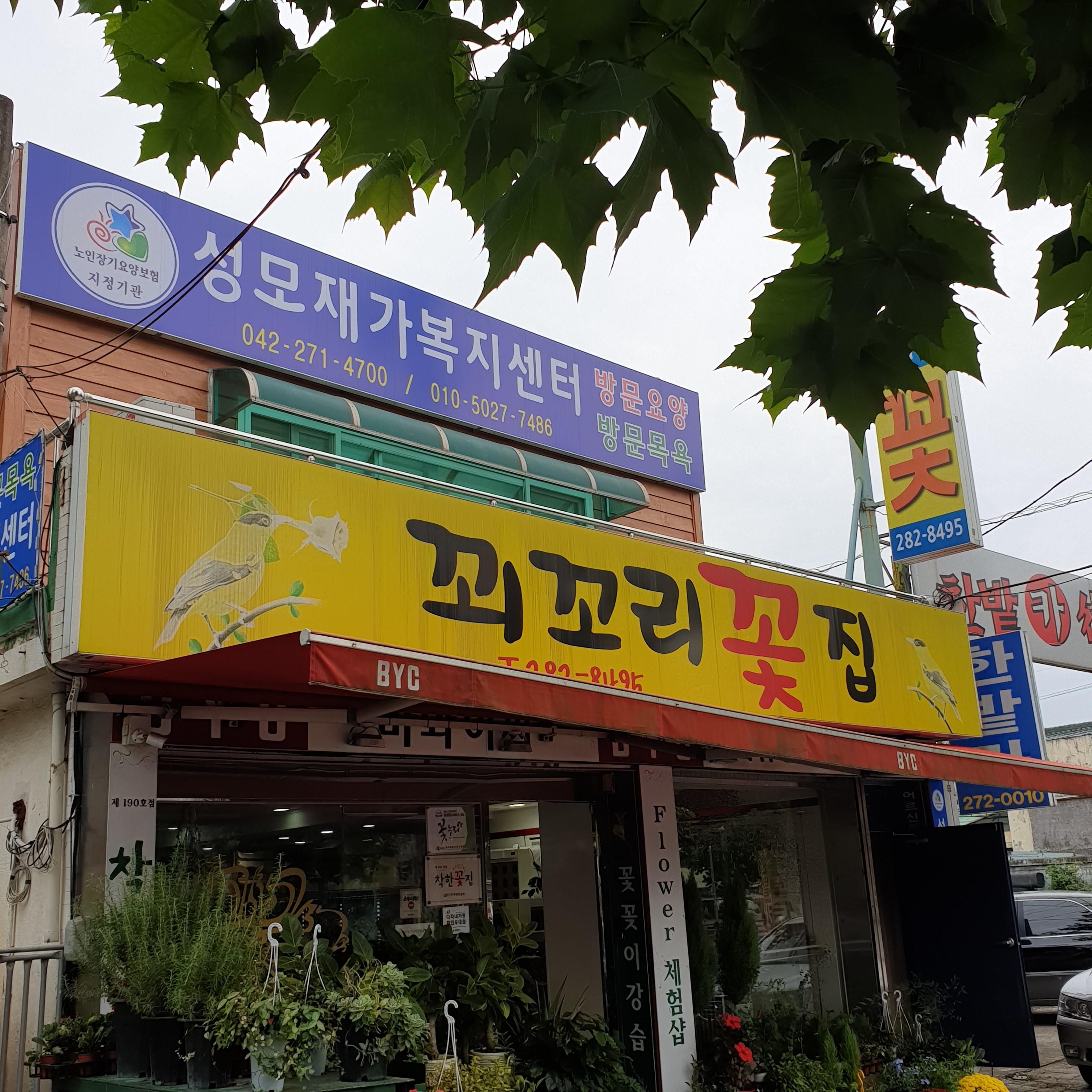 센터 이미지