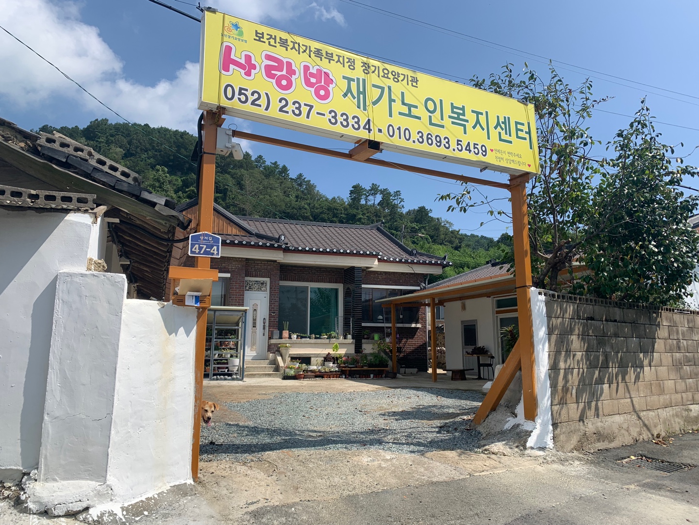센터 이미지