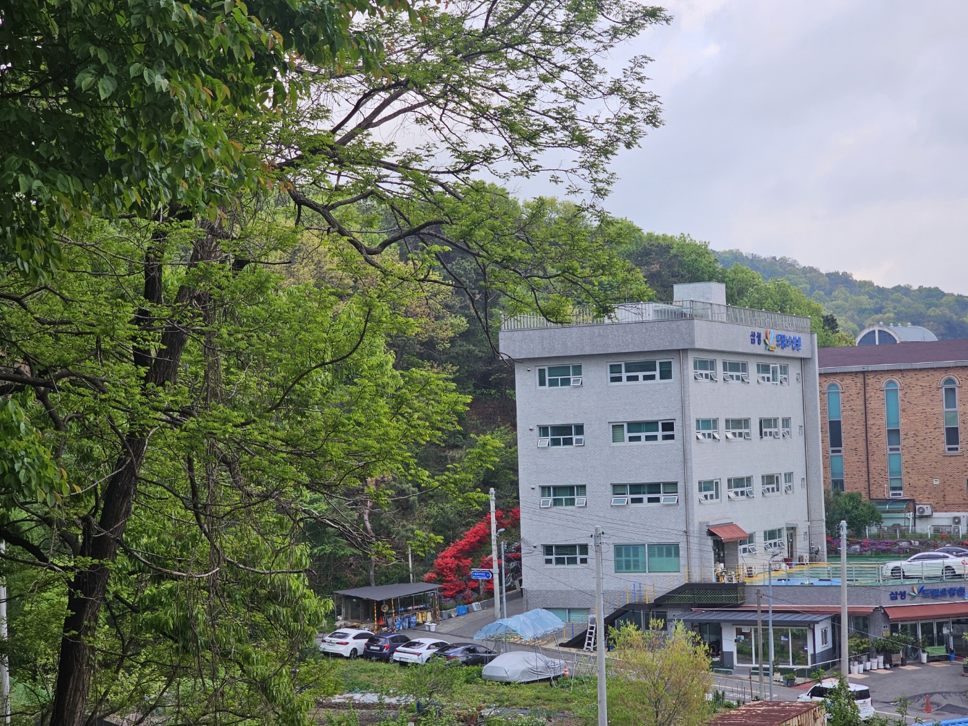 센터 이미지