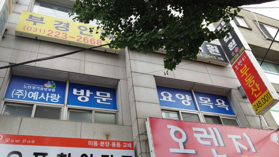 센터 이미지