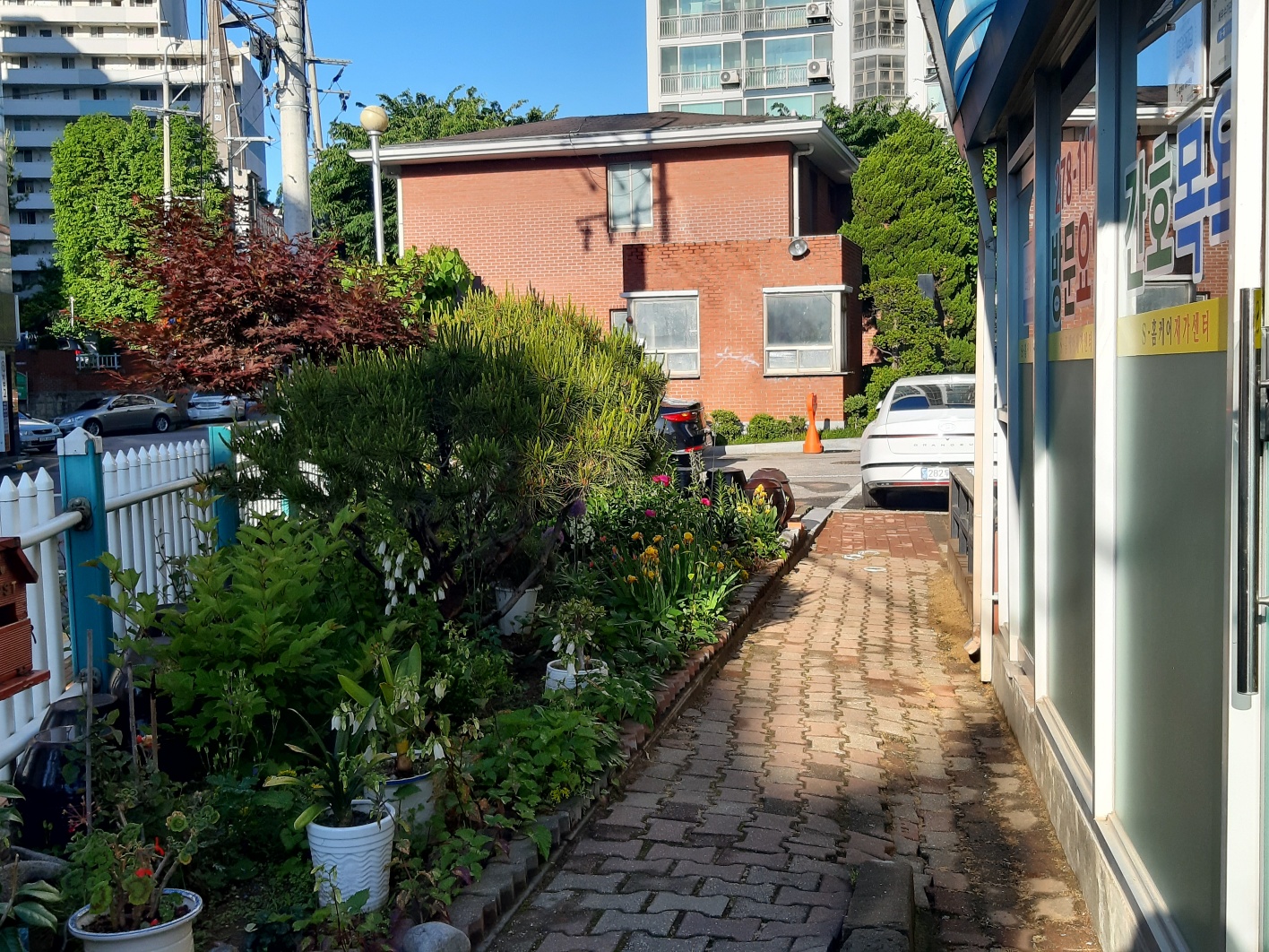 센터 이미지