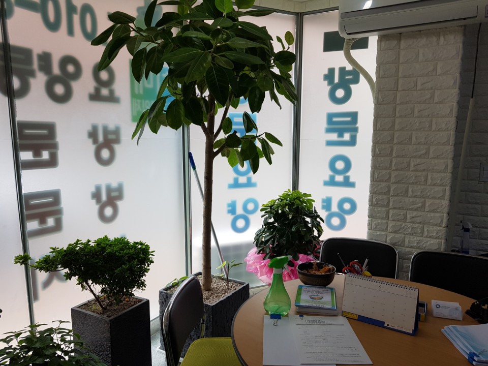 센터 이미지