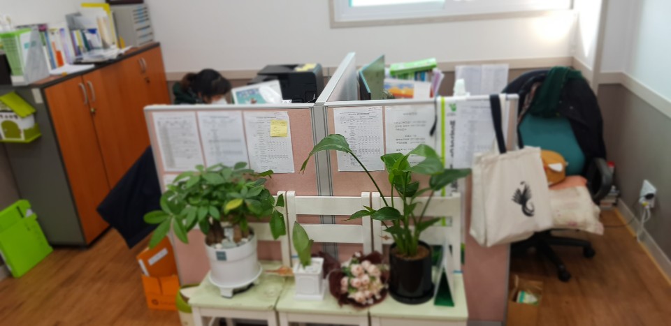 센터 이미지