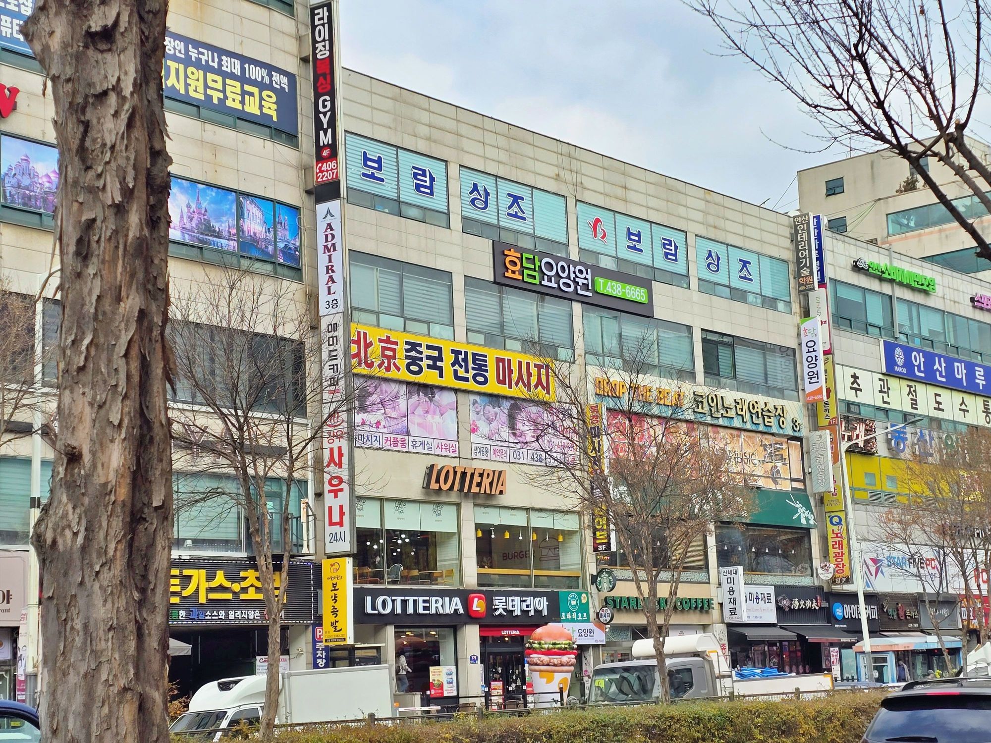 센터 이미지