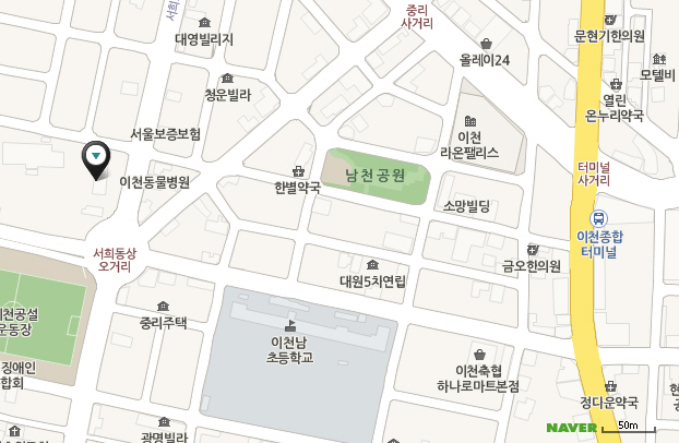 센터 이미지