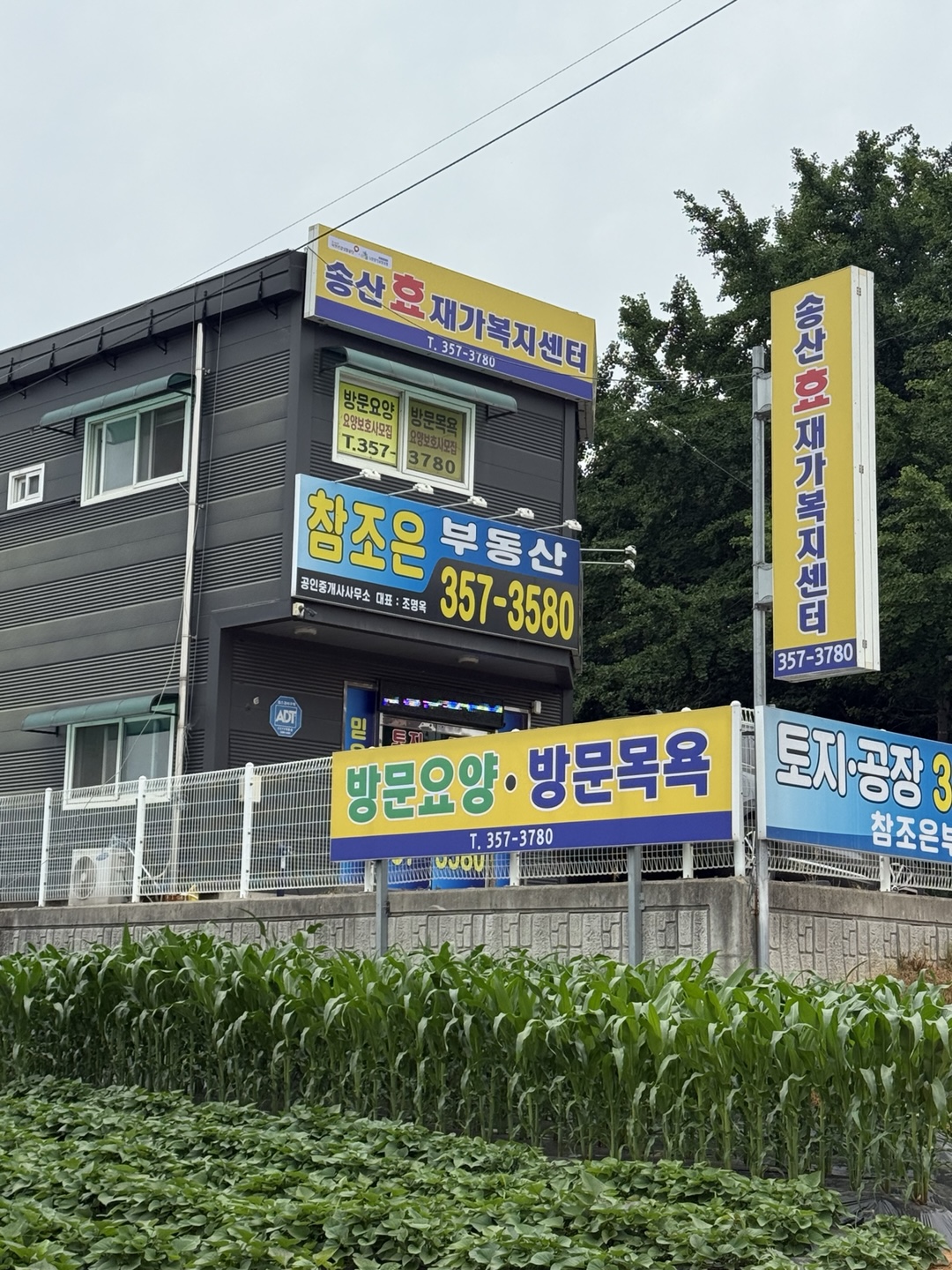 센터 이미지