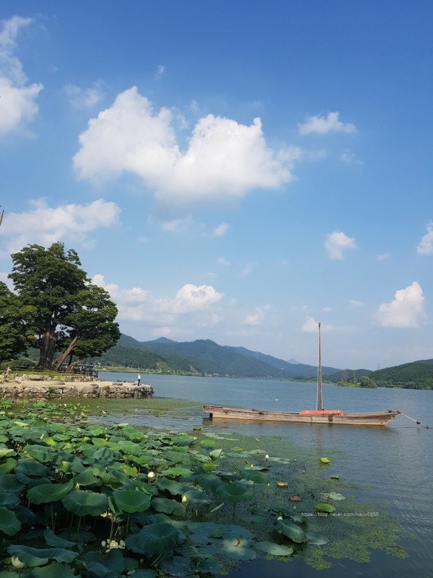 센터 이미지