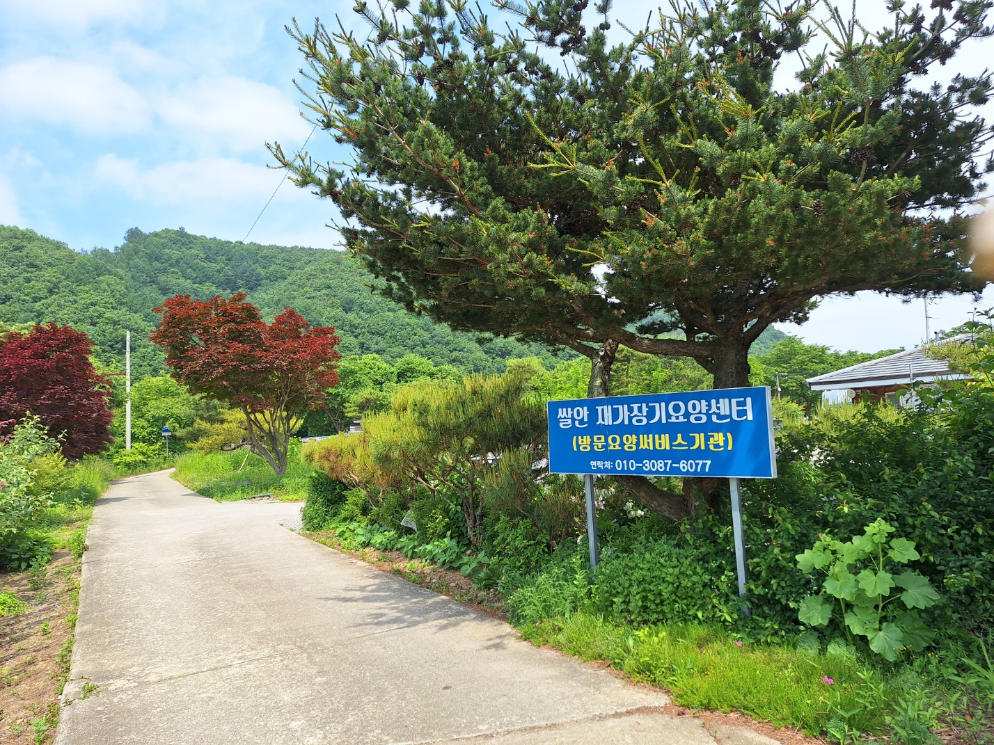 센터 이미지