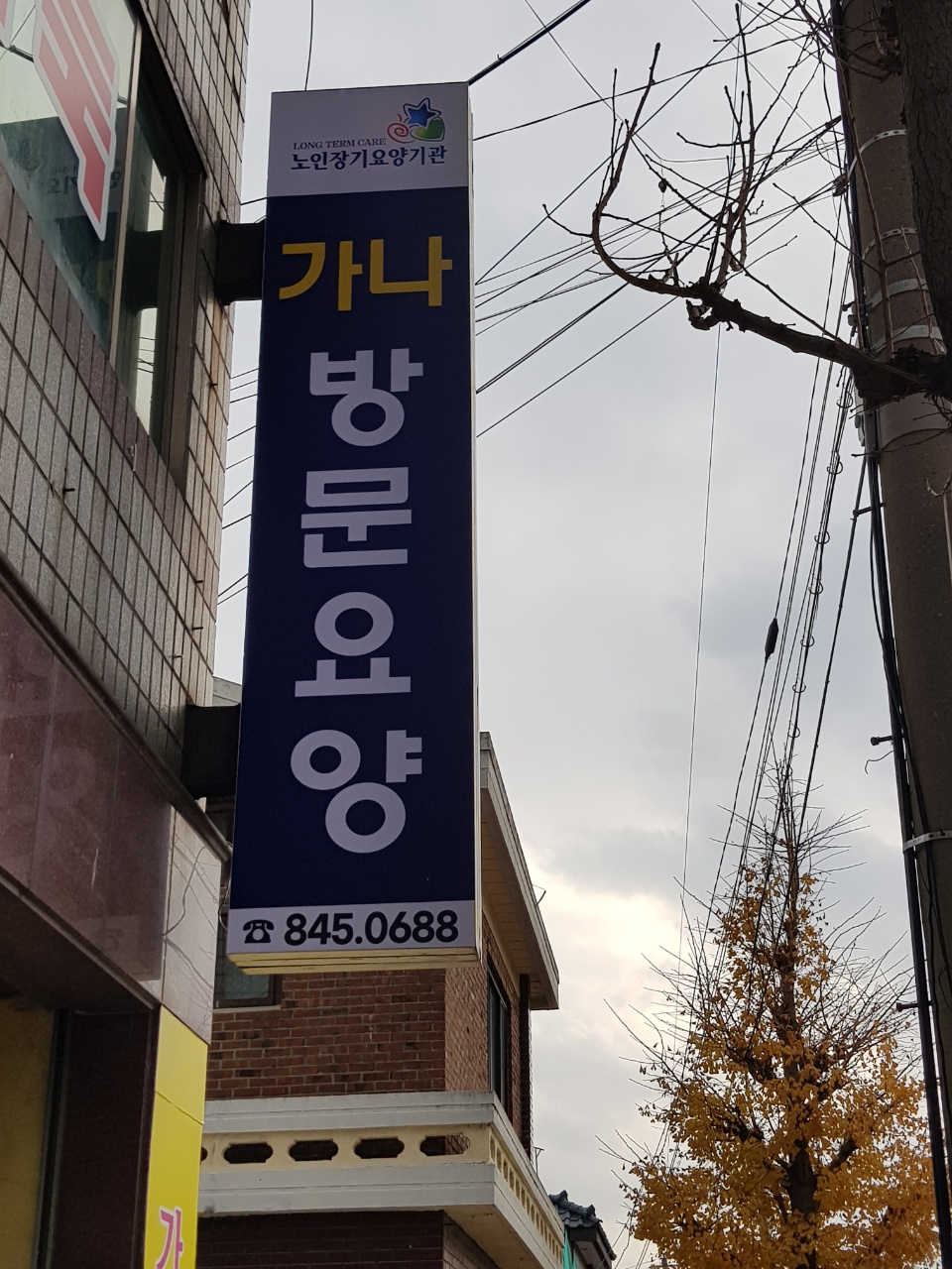 센터 이미지