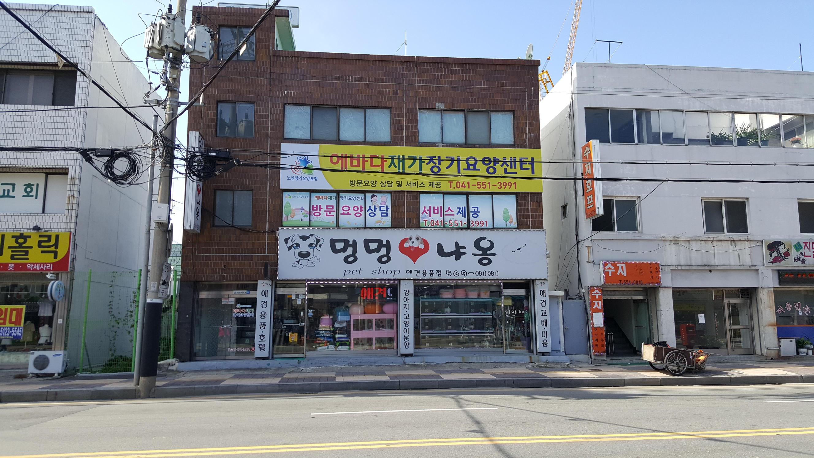 센터 이미지