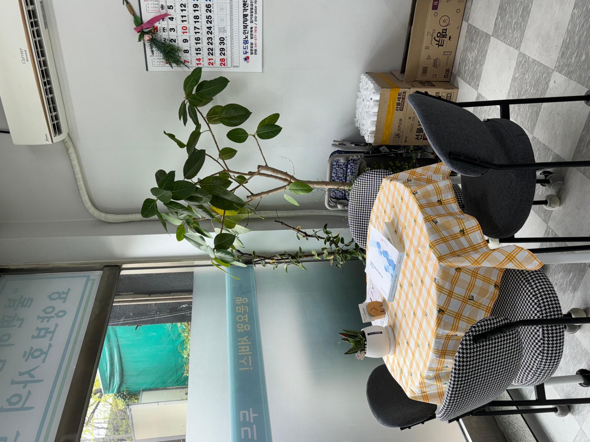 센터 이미지