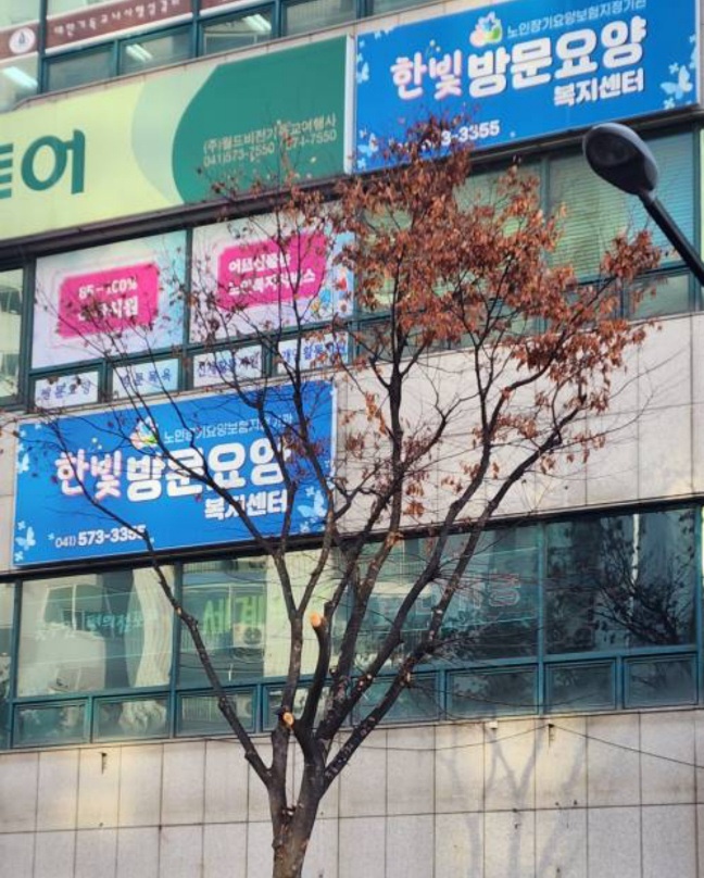 센터 이미지