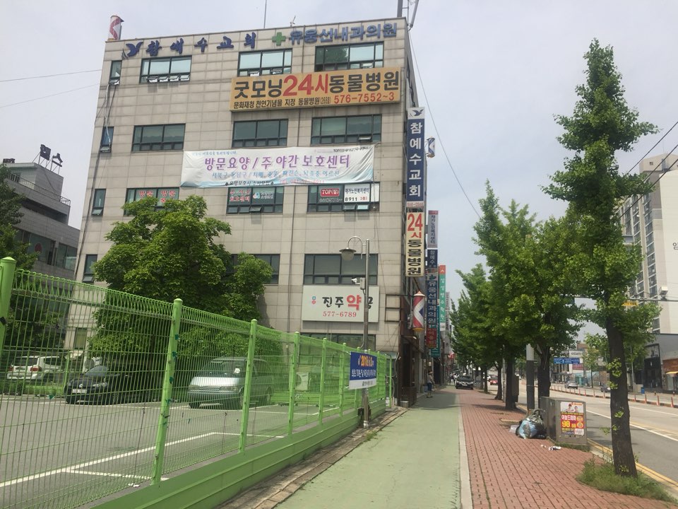 센터 이미지