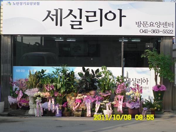 센터 이미지