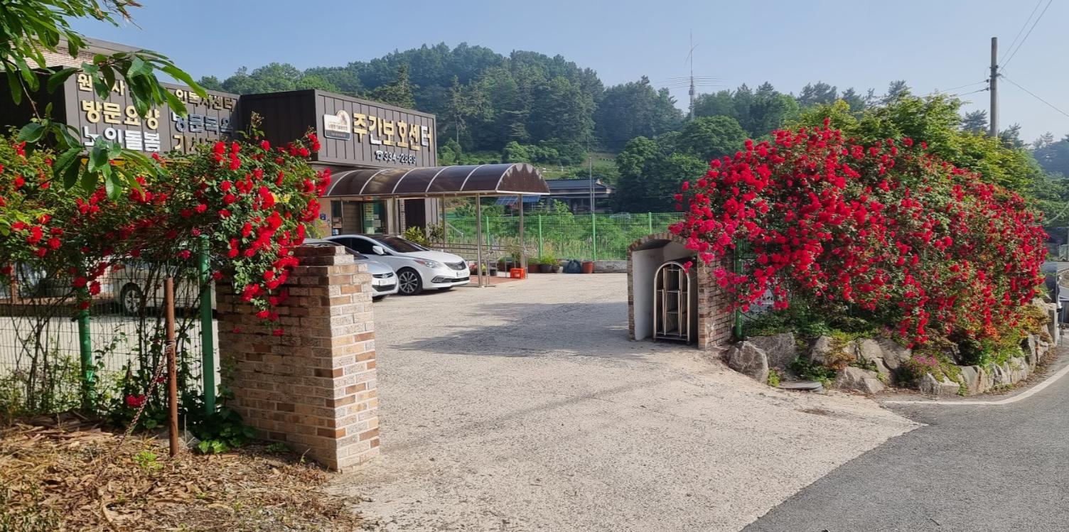 센터 이미지