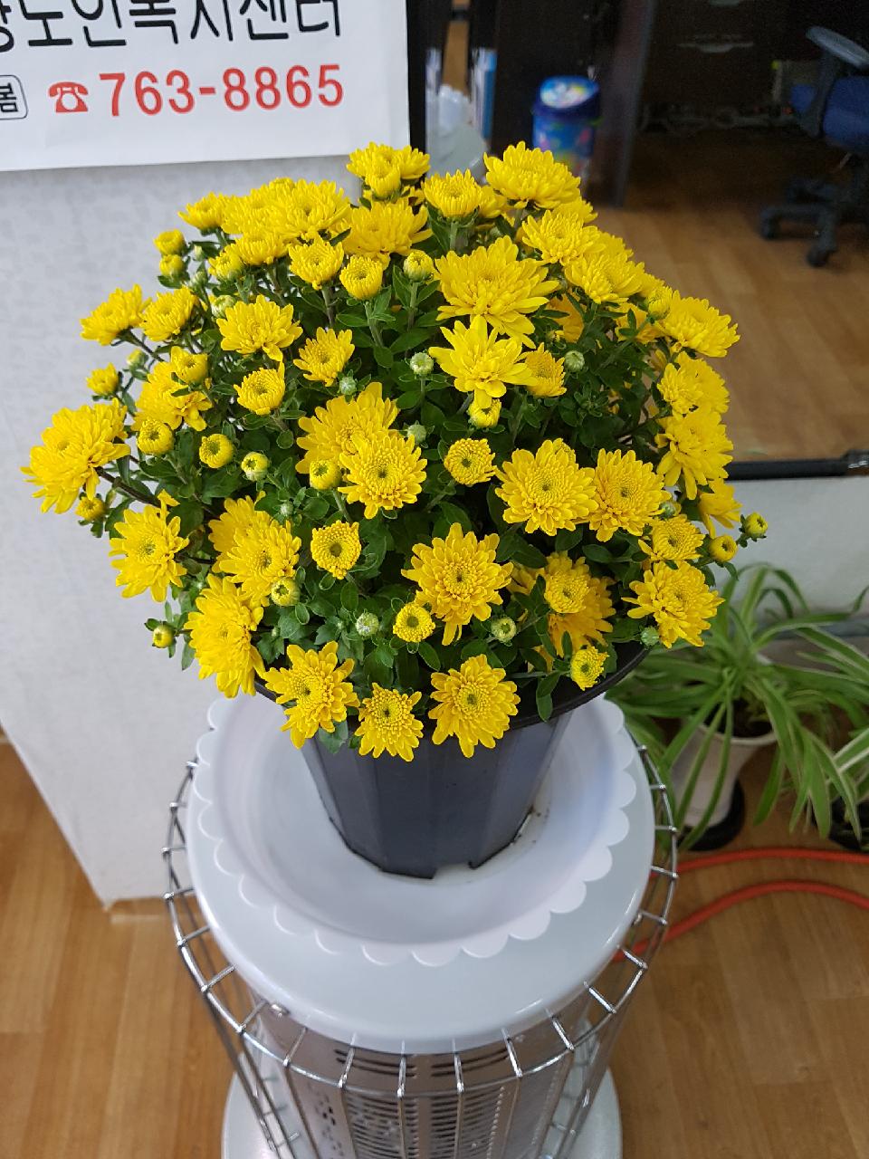 센터 이미지