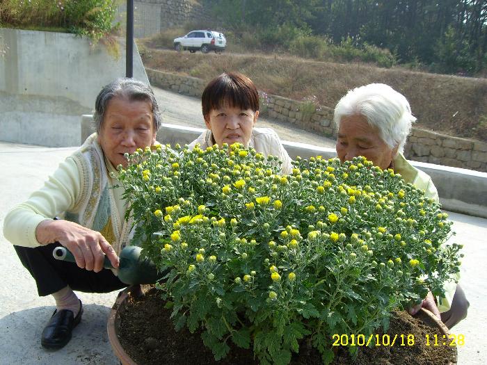 센터 이미지