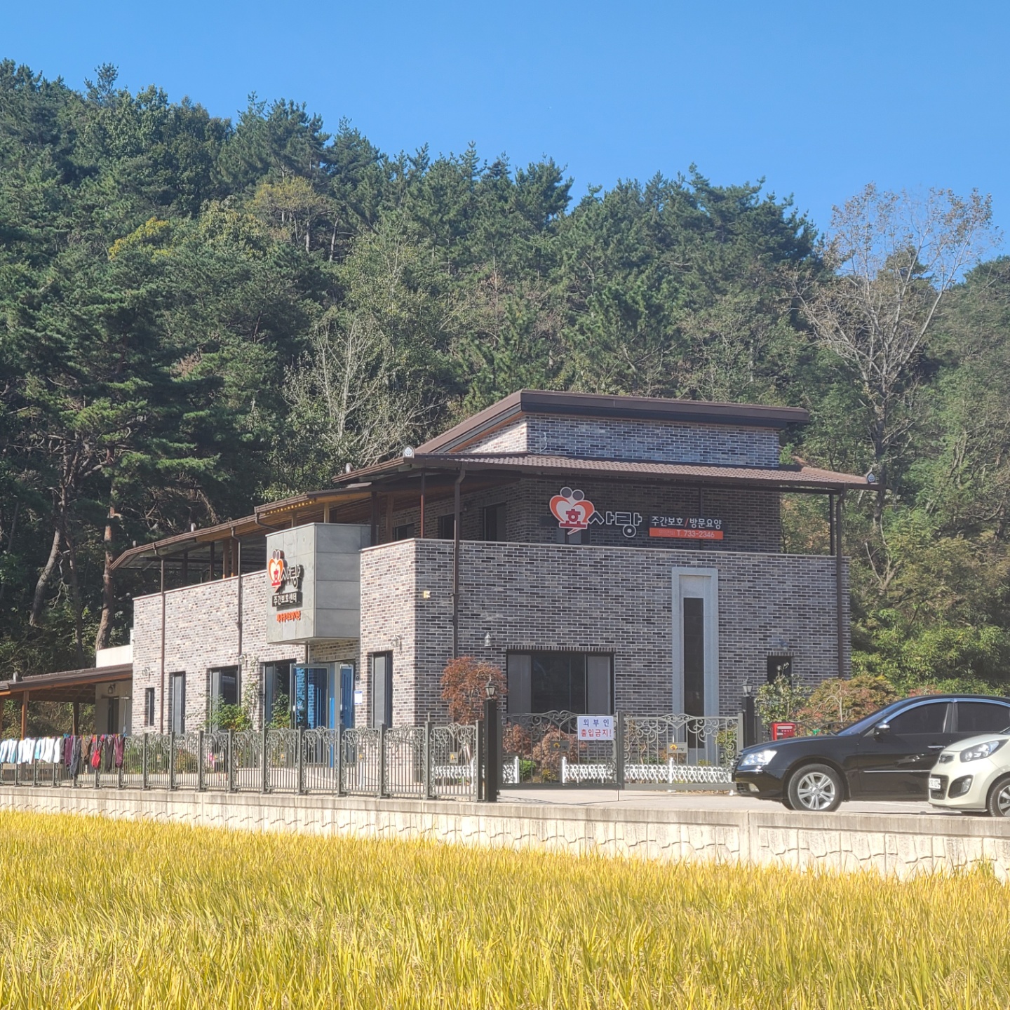 센터 이미지