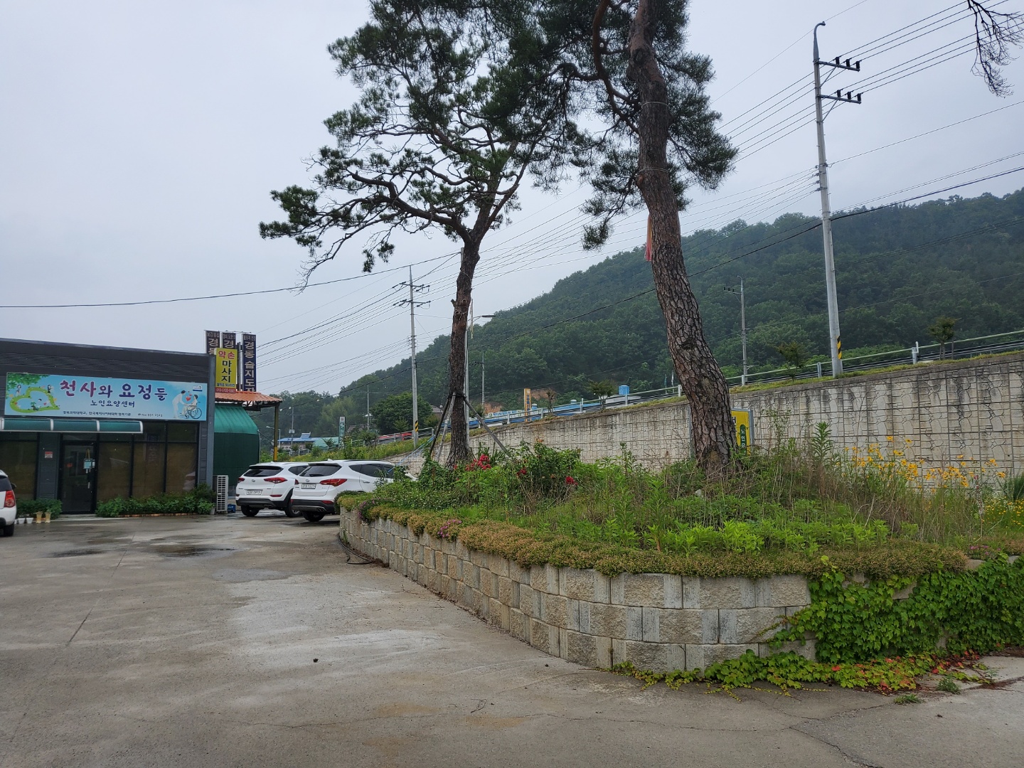 센터 이미지