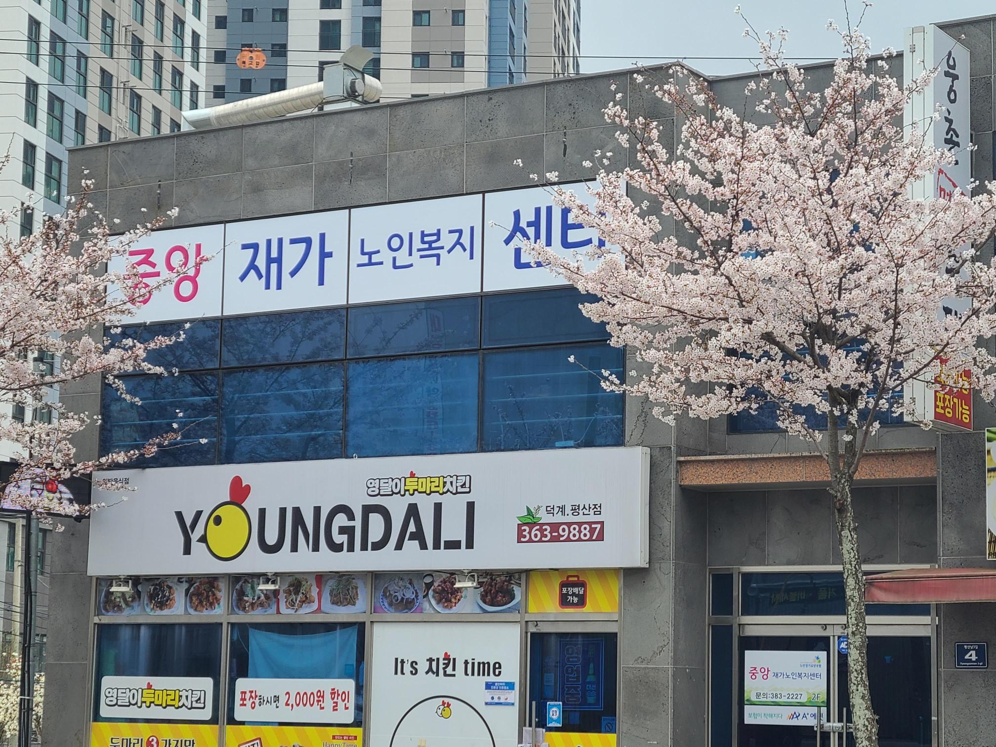 센터 이미지