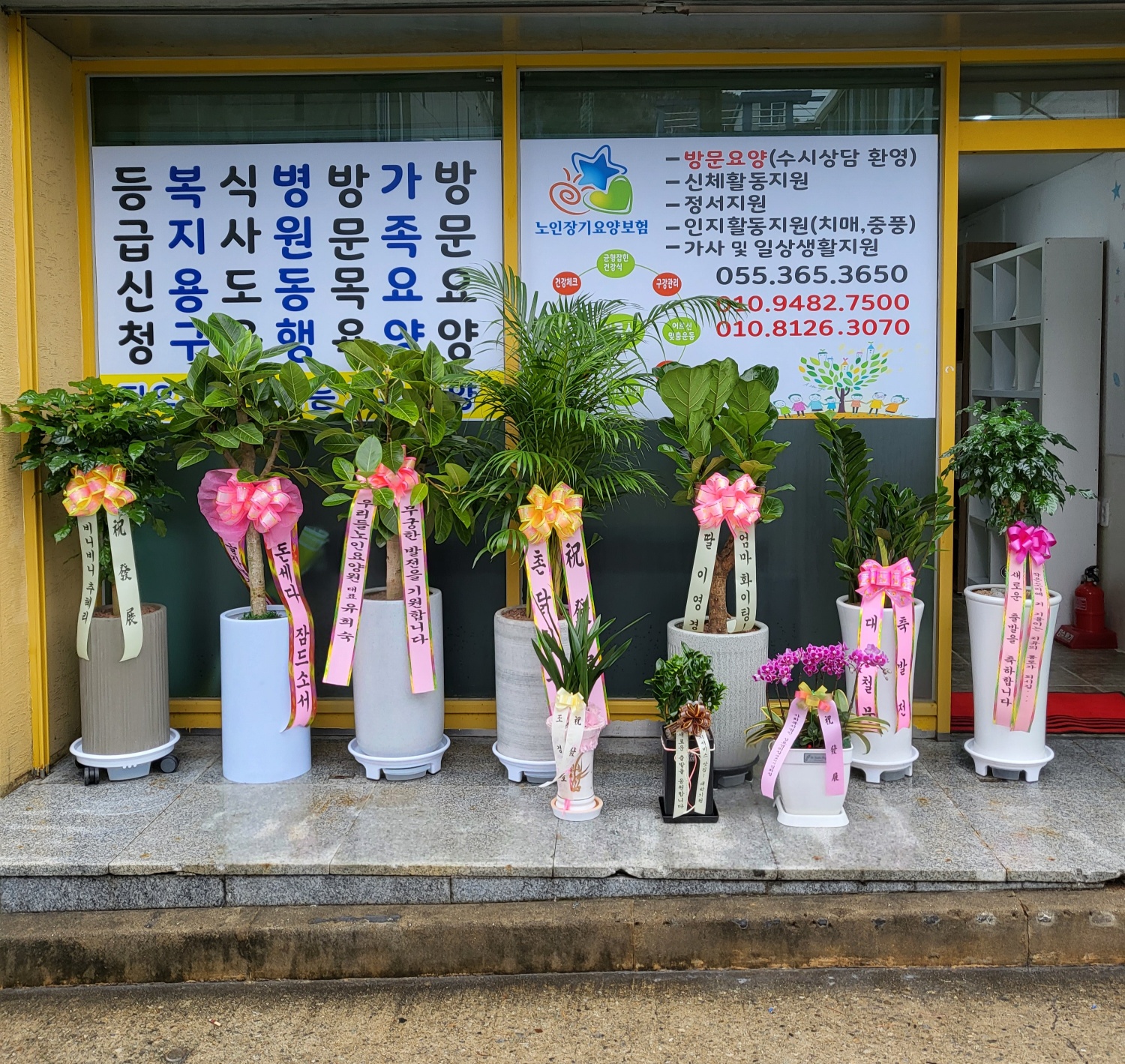 센터 이미지