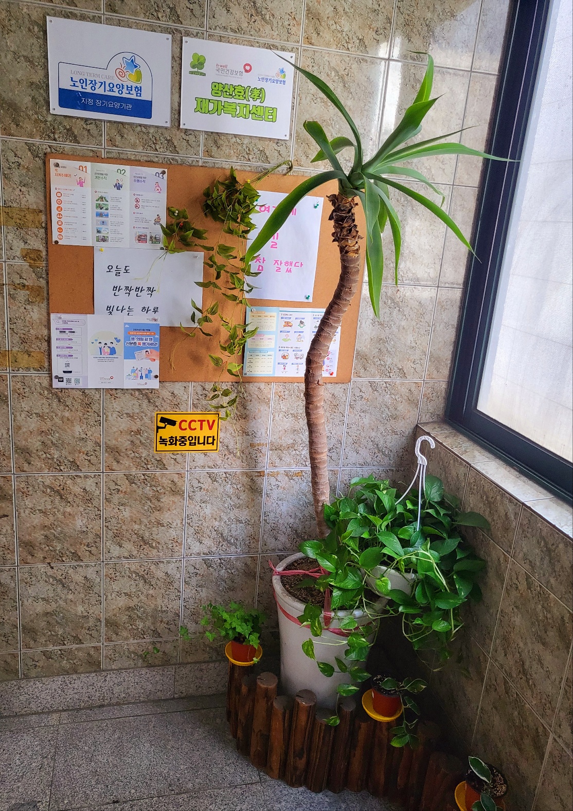 센터 이미지