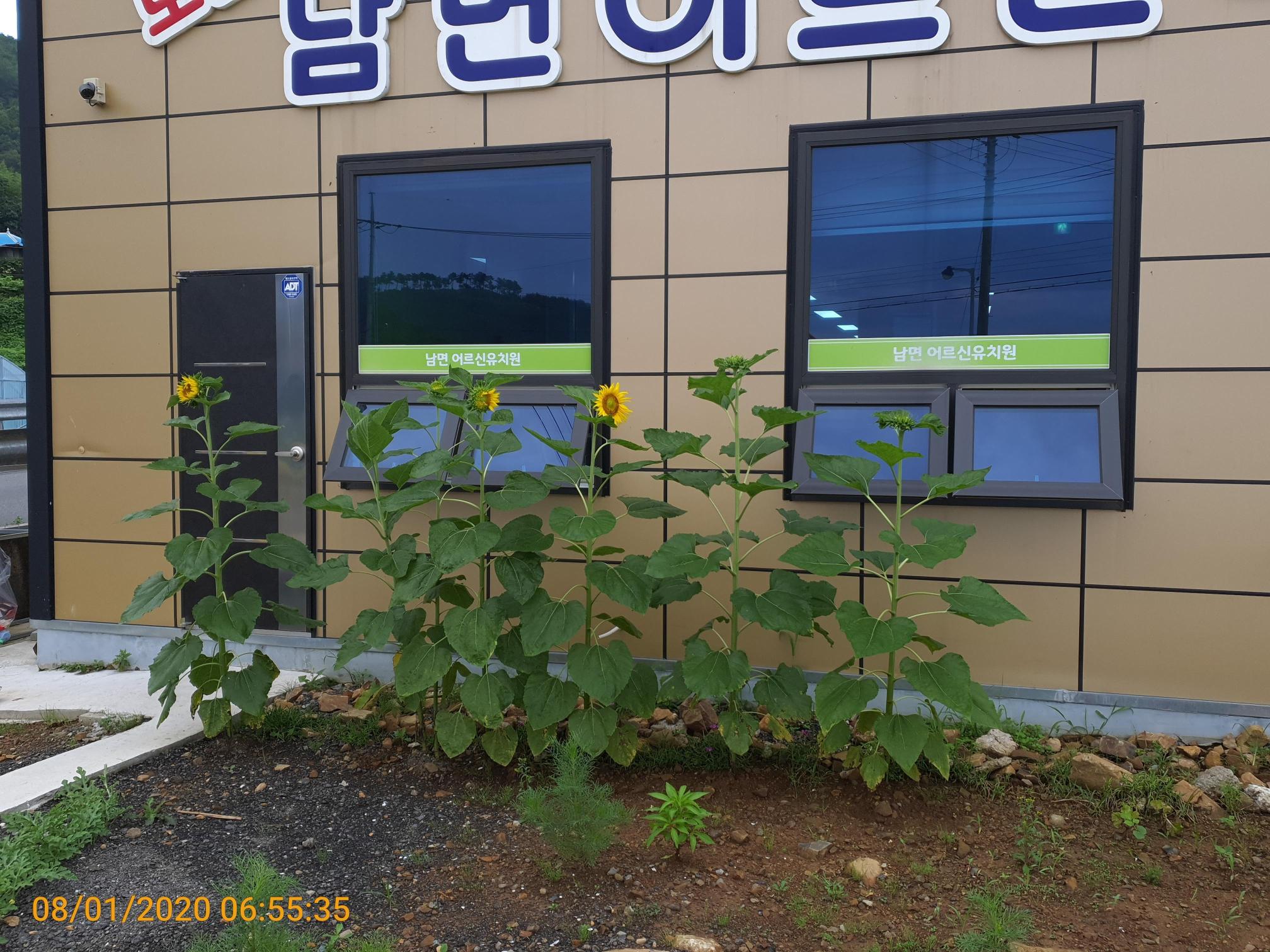 센터 이미지