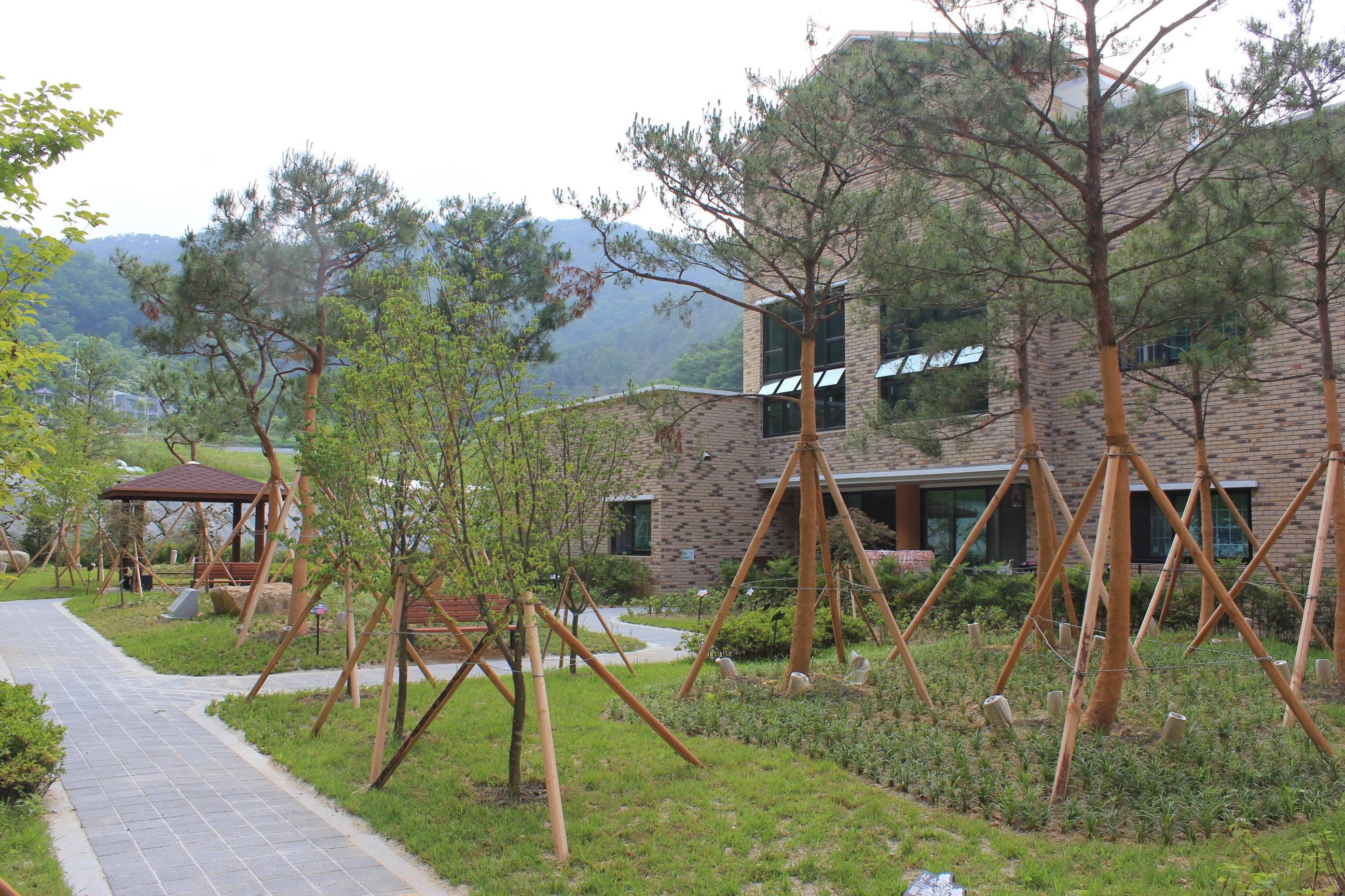 센터 이미지