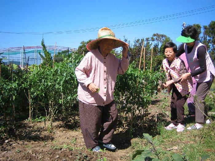 센터 이미지