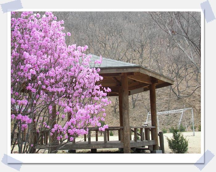 광림노인전문요양원 시설 이미지 6