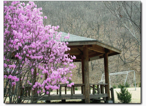광림노인전문요양원 시설 이미지 26