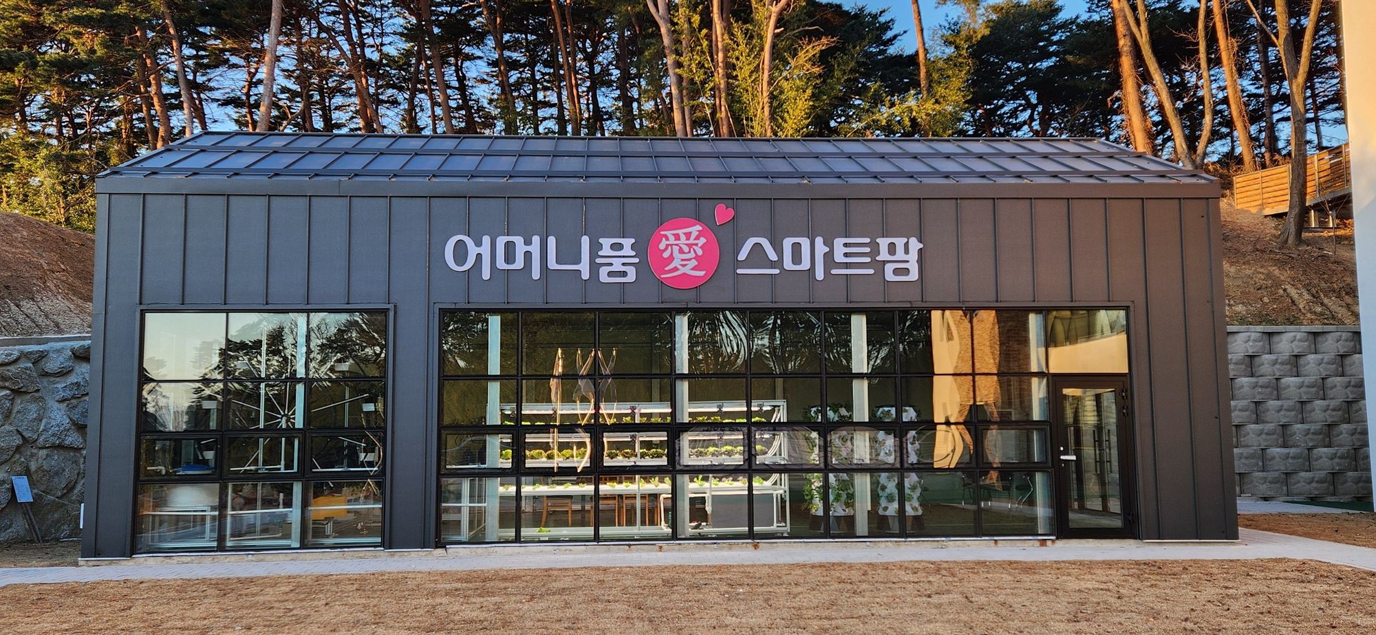 센터 이미지