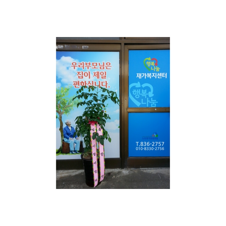 센터 이미지