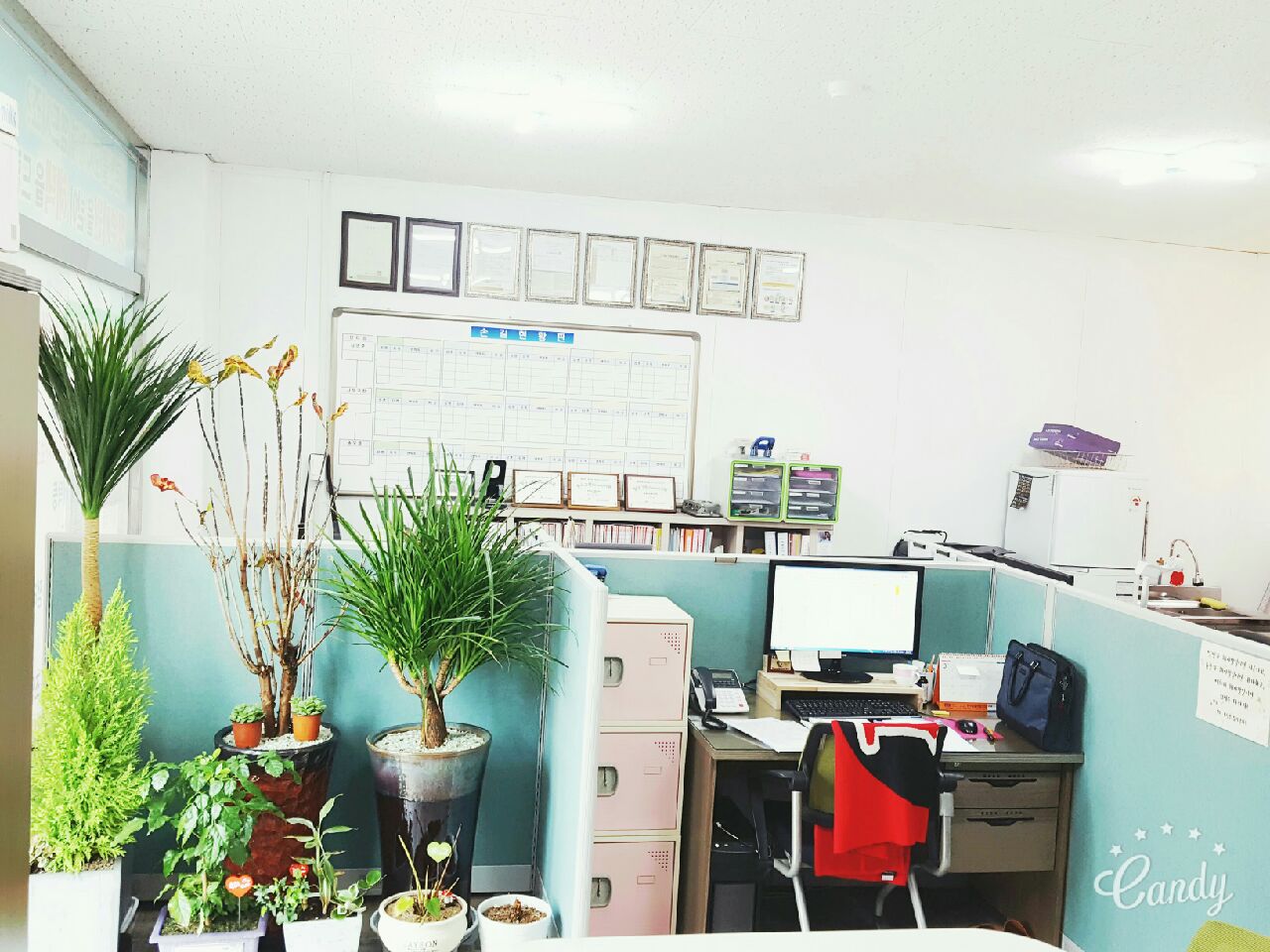 센터 이미지