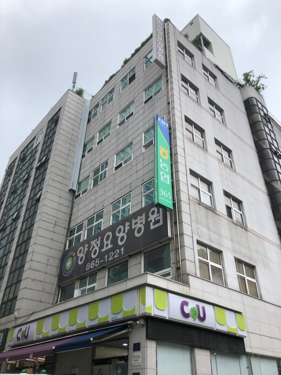 센터 이미지